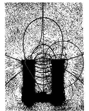 Magnetic flux lines illustrated by iron filings on U-shaped magnet.