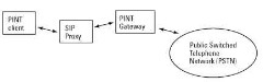 PINT network configuration.