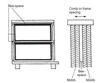Vertical section through a movable-frame hive, showing a brood comb in each box, and the bee spaces.