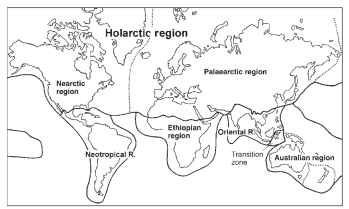 zoogeographical regions
