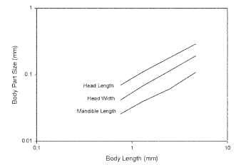 Allometric relationships between body part length and body length for P. albimanus (Diptera: Chironomidae) (Data from Ward and Cummins, 1978.)