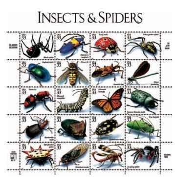 This pane of 20 different 33-cent stamps showing U.S. insects and spiders was issued on October 1, 1999 .