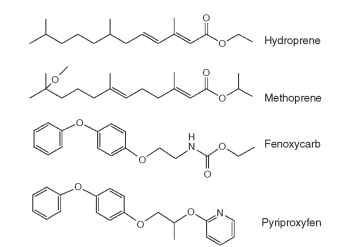 Structures of synthetic JH analogs, commonly called juvenoids. Methoprene has been useful in the control of mosquitos, fleas, and biting flies, while hydroprene was developed for cockroach control in dwellings. Fenoxycarb and pyriproxyfen, heterocyclic compounds with little resemblance to JHs, nevertheless have potent JH-like biological activity against a wide range of insects.