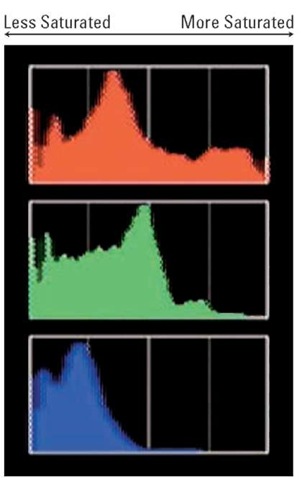 The RGB histogram can indicate problems with color saturation.