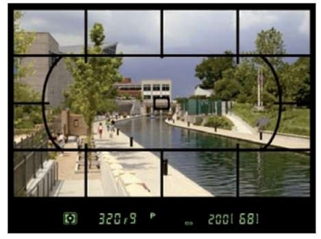 The viewfinder grid is another aid for ensuring that the horizon is level in the frame.