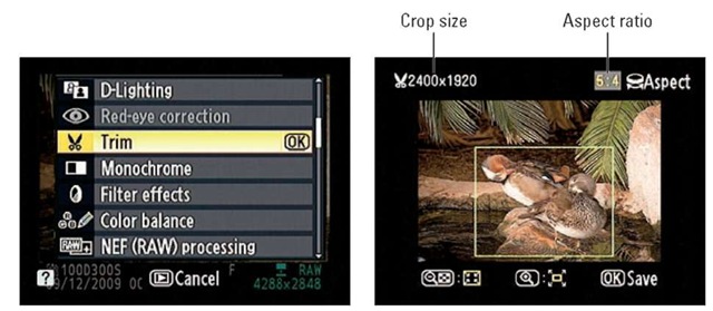 Rotate the main command dial to change the proportions of the crop box.