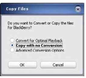 Choose to convert your media files for optimum playback.