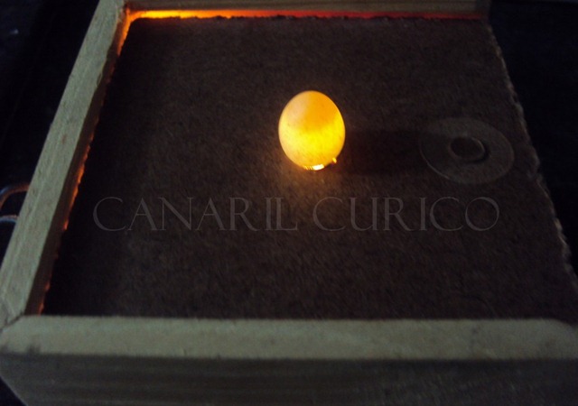 [Ovoscópio - ovo branco[2].jpg]