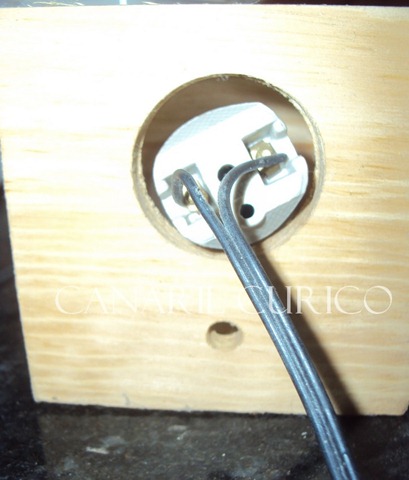 [Ovoscópio 1[5].jpg]