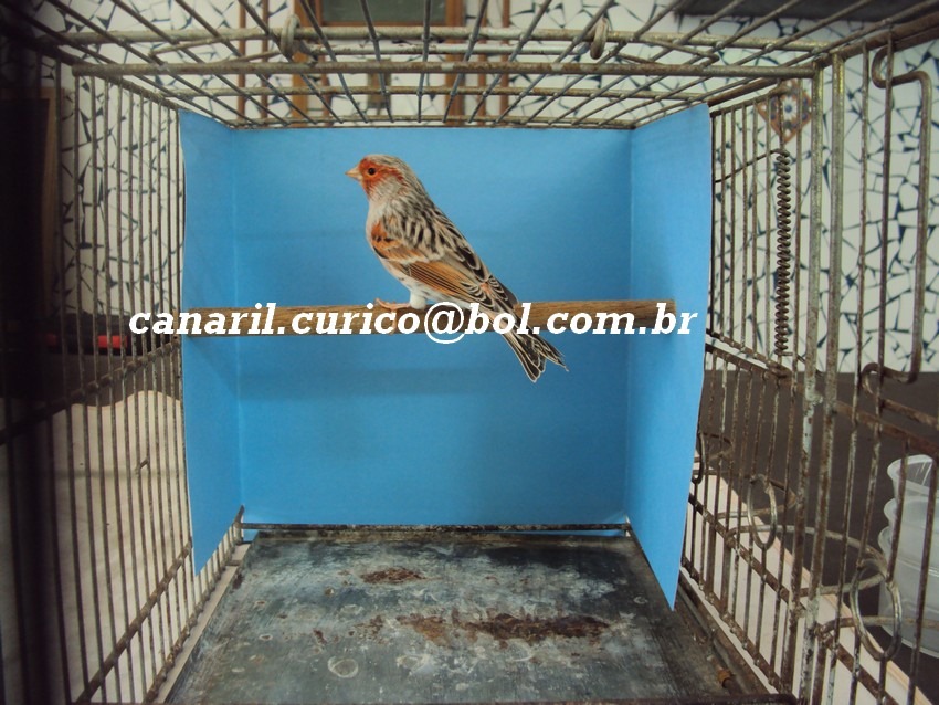 [Estúdio Fotográfico 7[5].jpg]