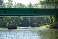 DSC_6891.JPG Photo