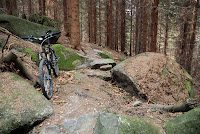 Widok na trasę Photo