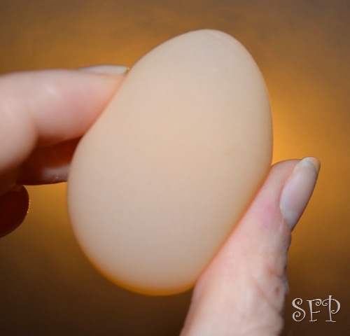 [egg without shell, kids playing 030[18].jpg]