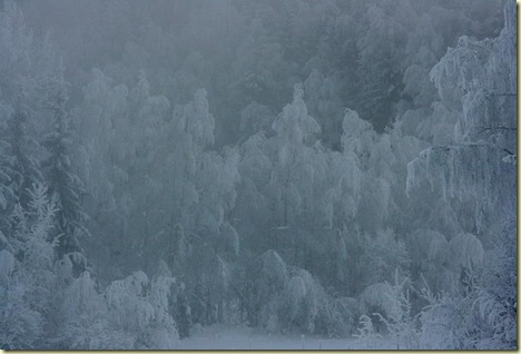 January2010 014-2