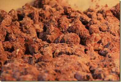 Mars2010 031-2