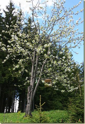 mai 2010 028-2