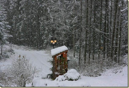 Nov09 020-2