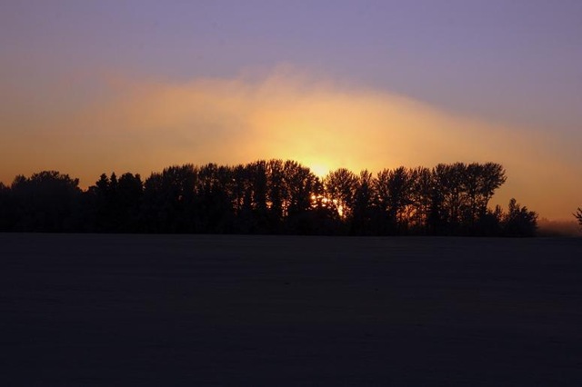 [December200911423.jpg]