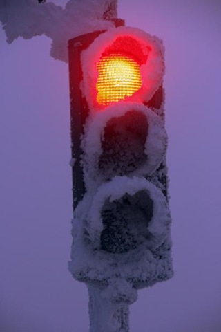 [December200912023.jpg]