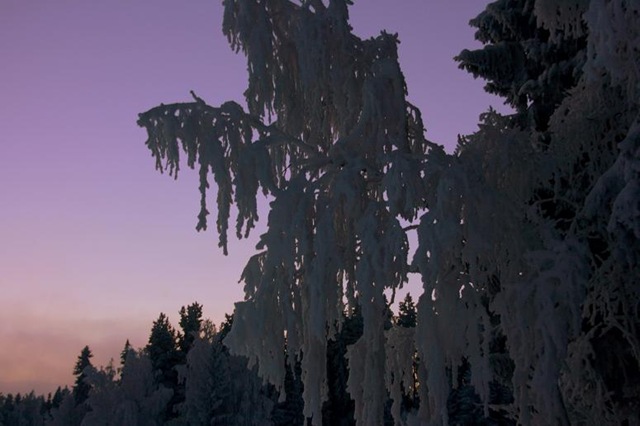 [December200916723.jpg]