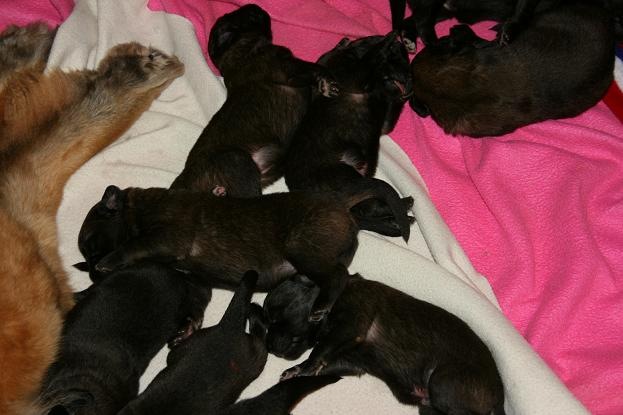 [Birdys babies 2010 003-2[3].jpg]