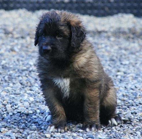 [Birdys babies 2010 043-2[3].jpg]