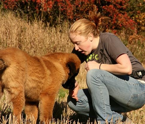 [Dogsoct2010 122-2[3].jpg]