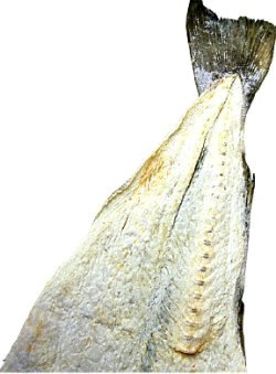 [klippfisk[3].jpg]