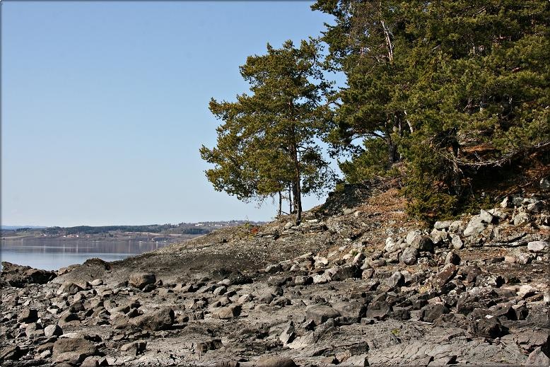 [beachtur[3].jpg]