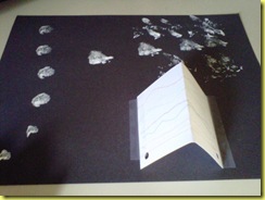 IMG00044-20101116-1436