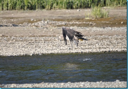 DSC_0078 DSC_0078