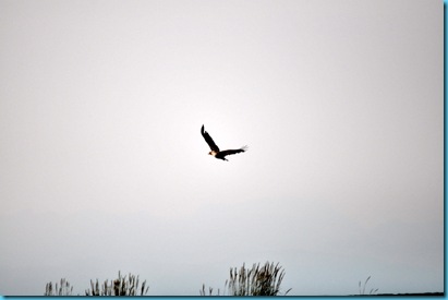 DSC_0090 DSC_0090