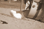 IMGP4994.JPG