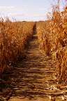 IMGP5171-1.JPG