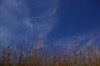 IMGP4023.JPG