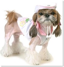 dog-fashion-2