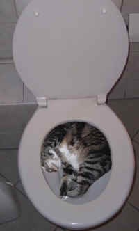 [humorous-028_small[2].jpg]
