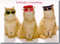 catatude