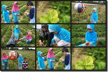 2010-07-281 2010-07-281