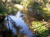 PALUDE BRABBIA