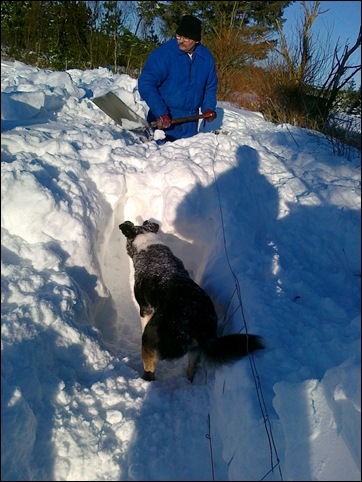 digging2