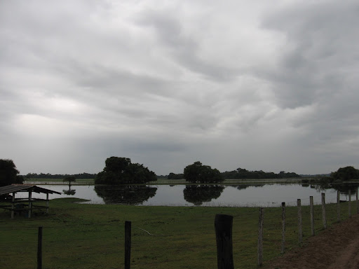 Imagem%20131