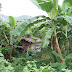 Picture%20087