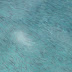 Picture%20014