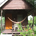 Picture%20040