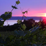 DSCN4011.JPG