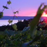 DSCN4010.JPG