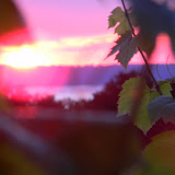 DSCN4014.JPG