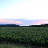 DSCN4042.JPG