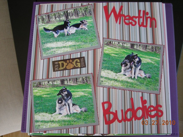 [Wrestlin Buddies[2].jpg]